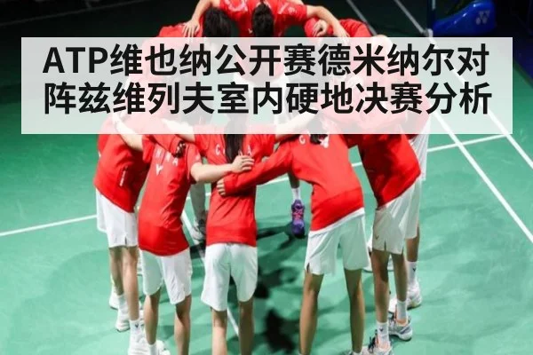 ATP维也纳公开赛德米纳尔对阵兹维列夫室内硬地决赛分析